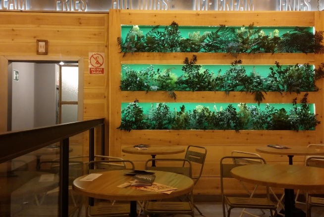 Galería de imágenes